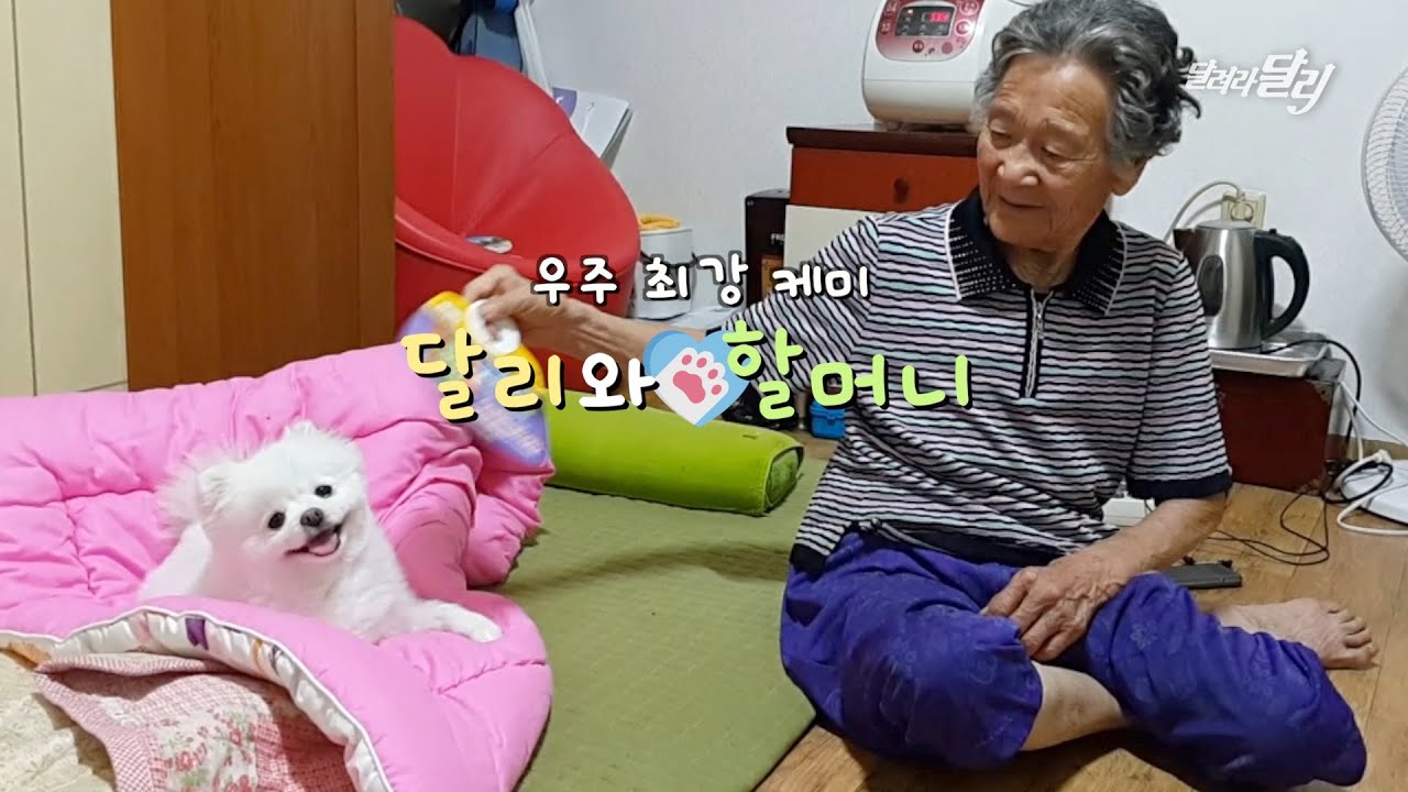 우주 최강 케미! 할머니와 강아지 손녀 달리