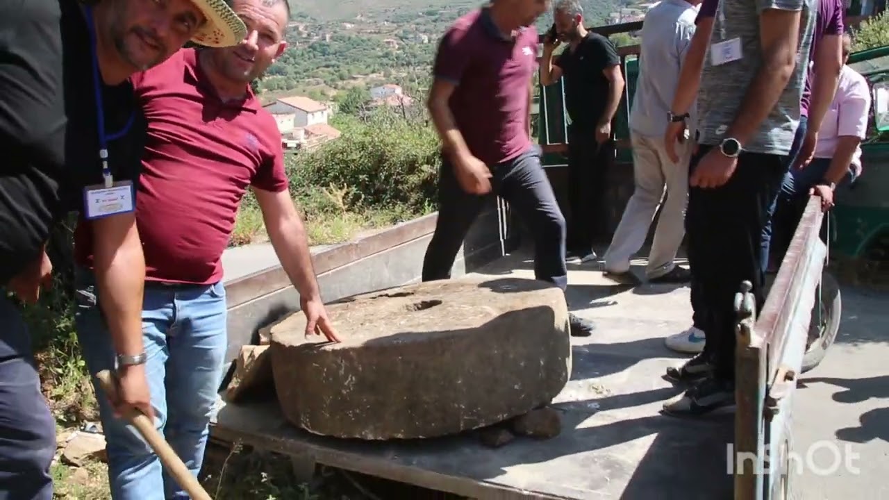 💪💪DEPLACEMENT D'UN MOULIN À HUILE D'OLIVE TRADITIONNEL