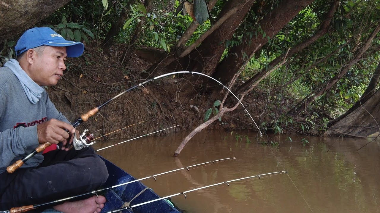 Memancing udang galah dan pemandangan langka ratusan ikan muncul kepermukaan 