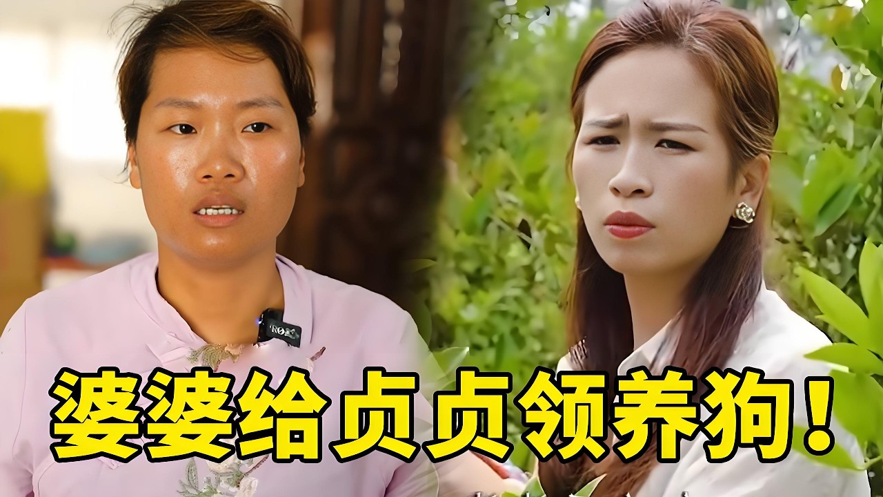 媳婦幹活心不在焉擔心意外走失的狗狗，婆婆辛苦摘了一籃櫻桃探望鄰居，請她讓自己領養一隻小狗送給媳婦，媳婦開心到抱著婆婆轉圈圈！ #農村生活 #搞笑 #惡婆婆 #婆媳