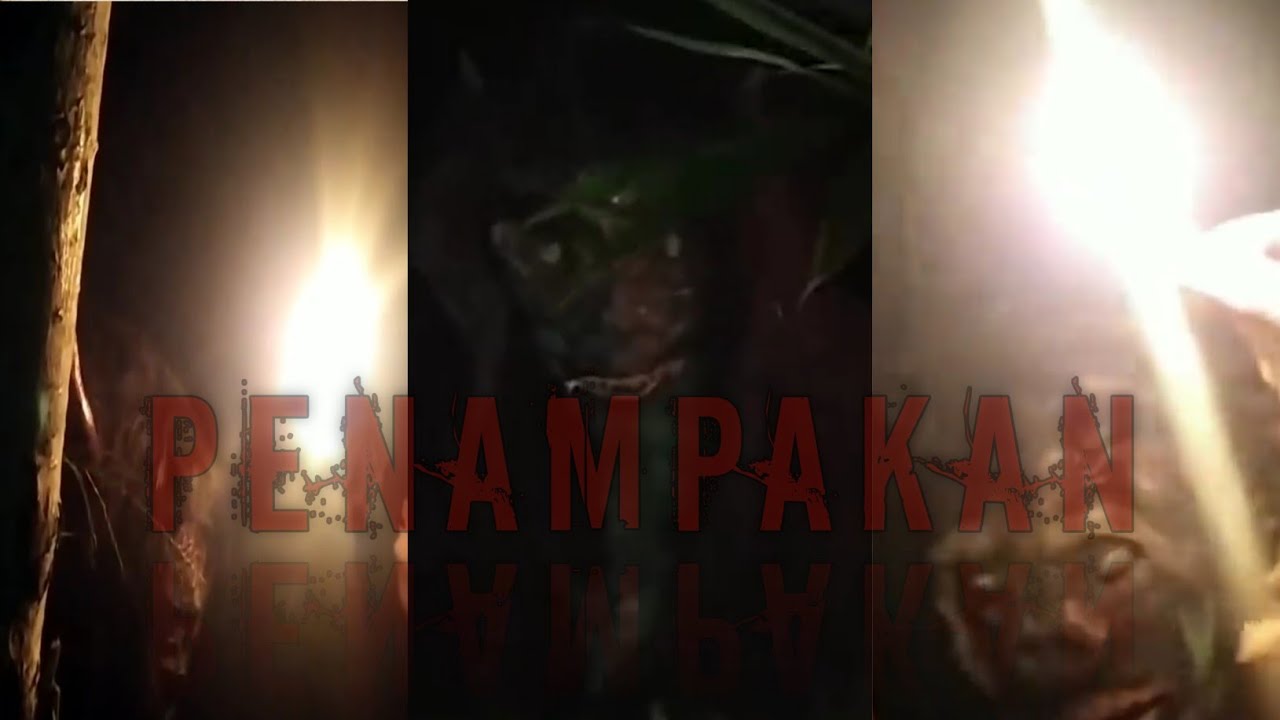 Kompilasi penampakan nyata dan keberhasilan channel BEDA ALAM OFFICIAL dalam mengungkap tabir ghaib.