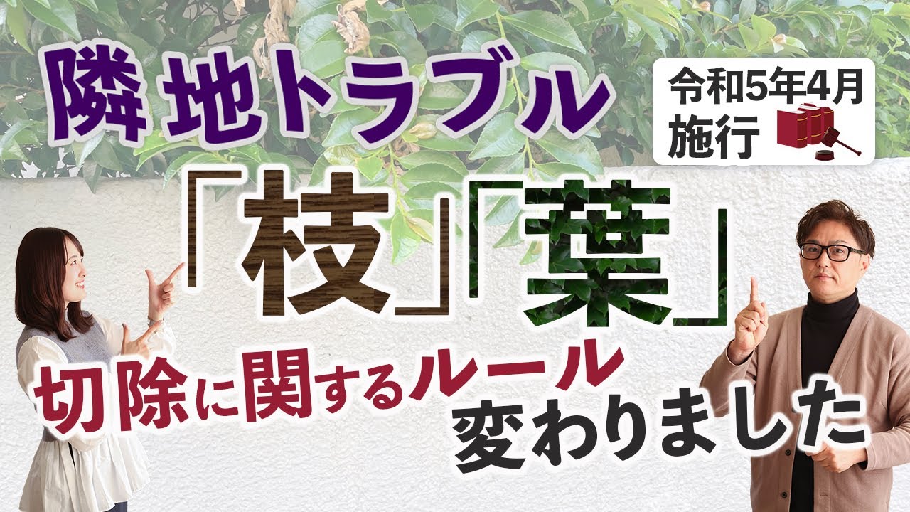 【隣地トラブル】越境法律の改訂で、隣の家の木を勝手に切れるようになりました。細かいルールを説明します。