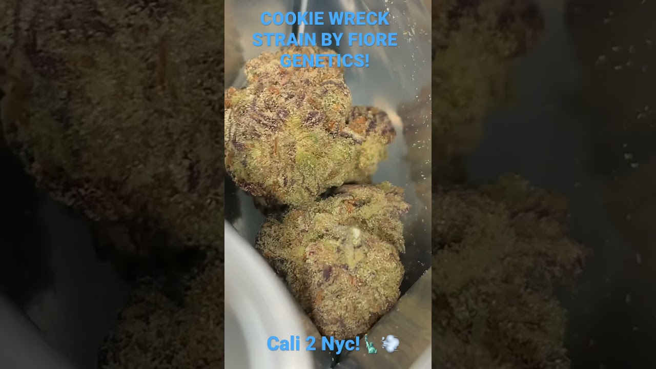 COOKIE WRECK STRAIN! By FIORE Genetics ⛽️💨🤤 #whatsinyourbag?