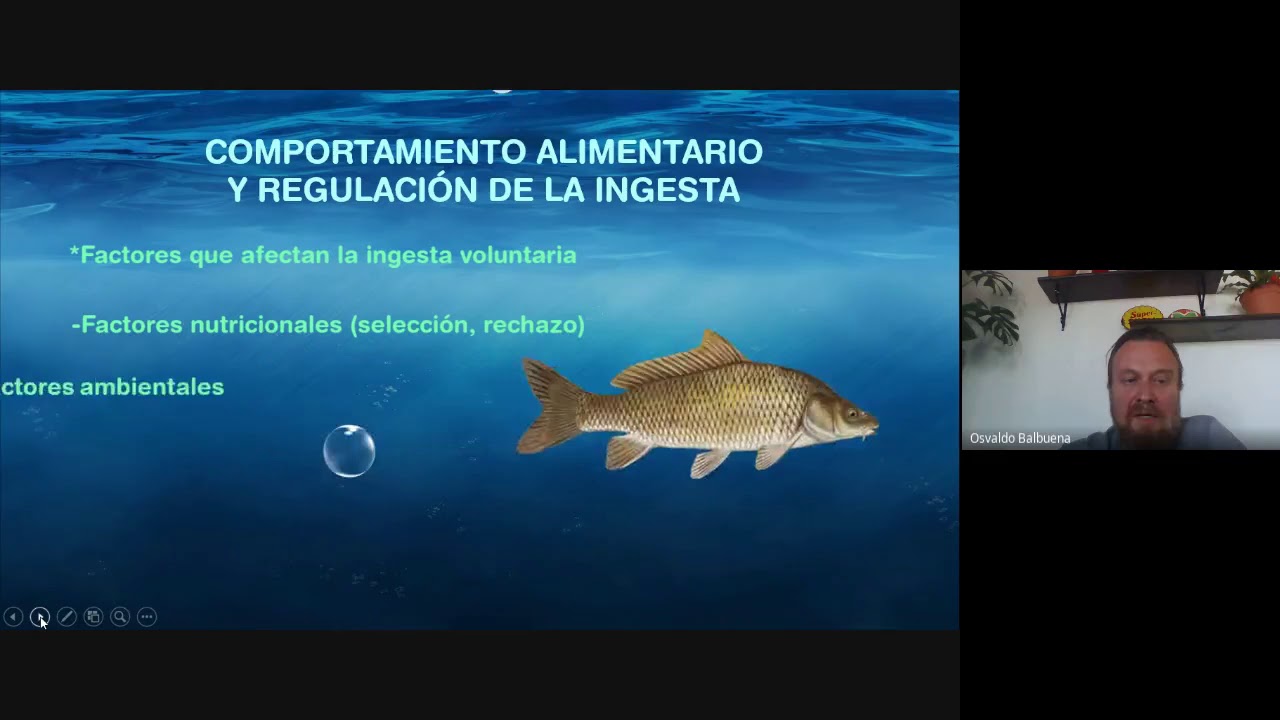 Clase te&oacute;rica, nutrici&oacute;n y alimentaci&oacute;n de peces (27/10/2020)