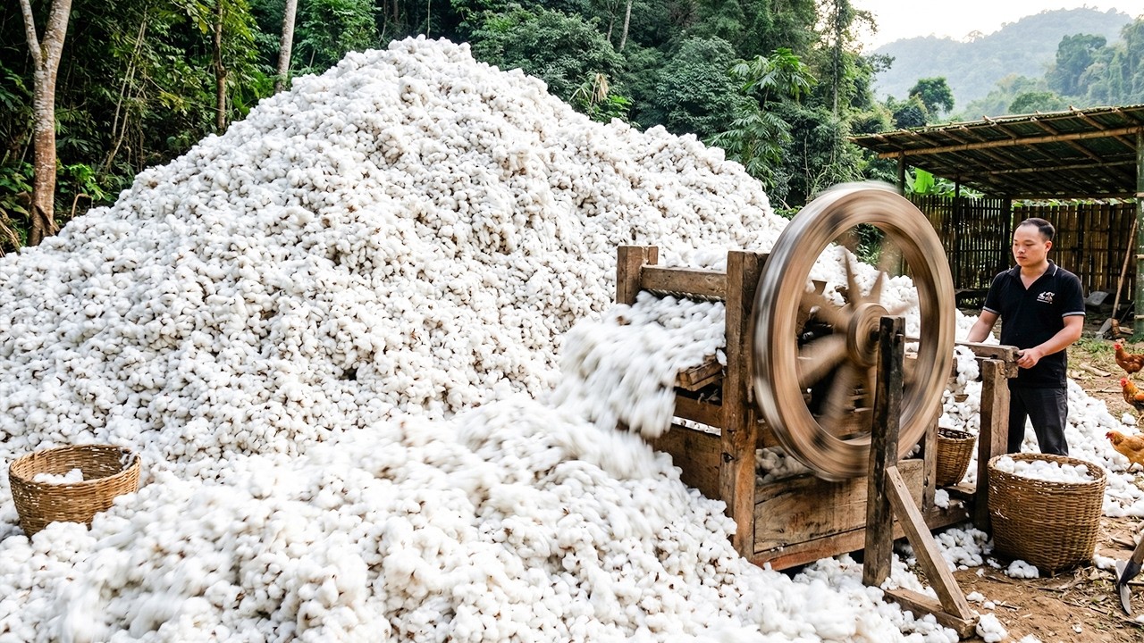 Primitive Skills: 5 Years of Hard Work&hellip; This Hand Cotton Gin Changes Everything