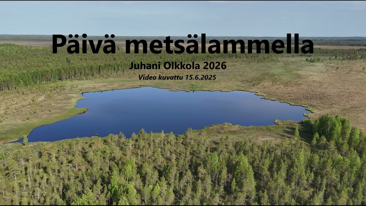 Päivä metsälammella