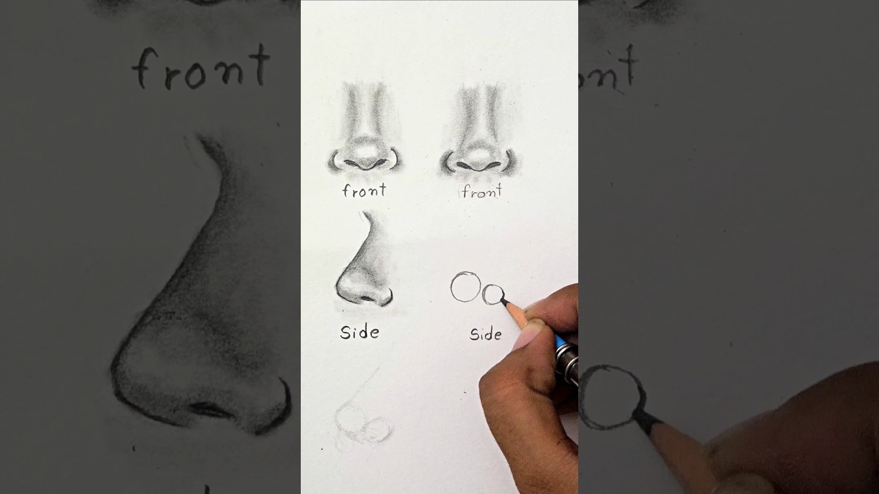 How to Draw Nose ✨️ (front and side view) #shorts #drawing