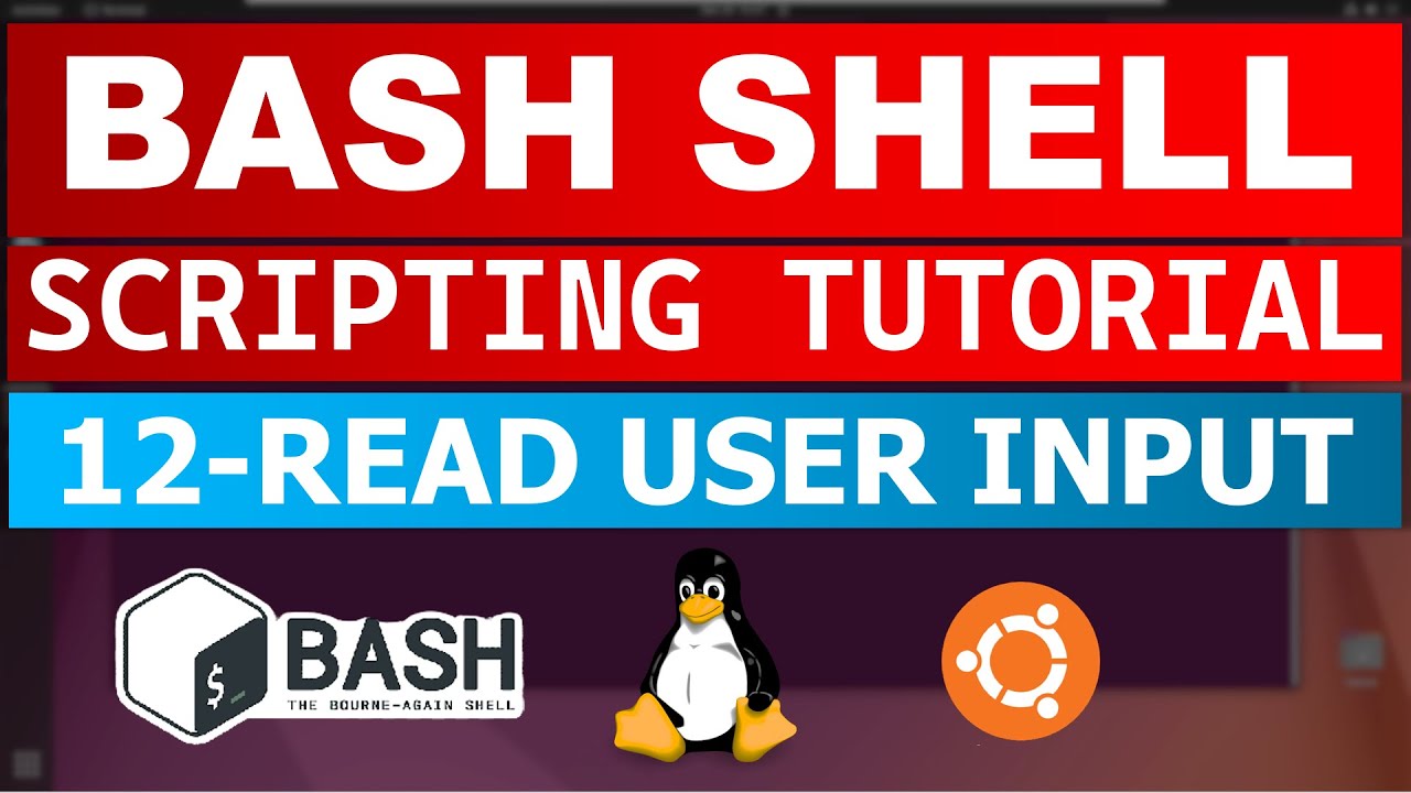 Bash Shell Scripting Tutorial 12 - Read User Input from Terminal