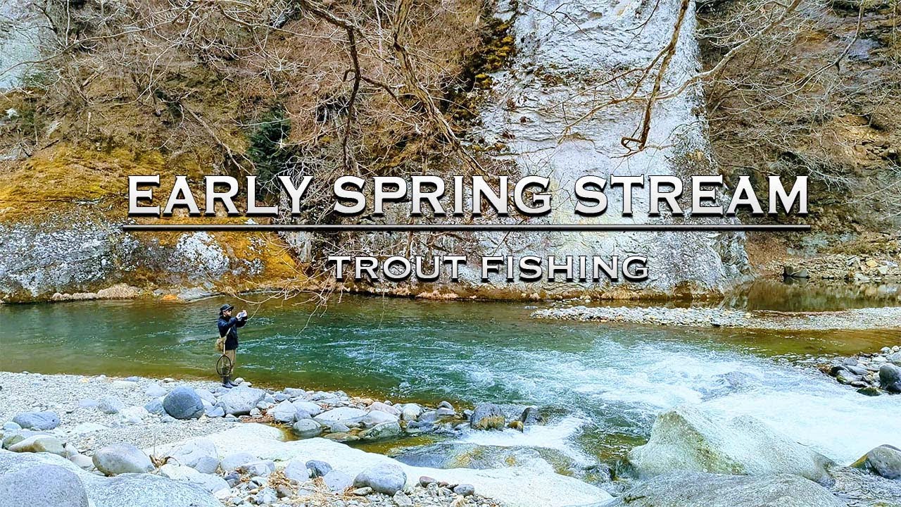 Early spring stream | trout fishing #1 渓流釣り4k