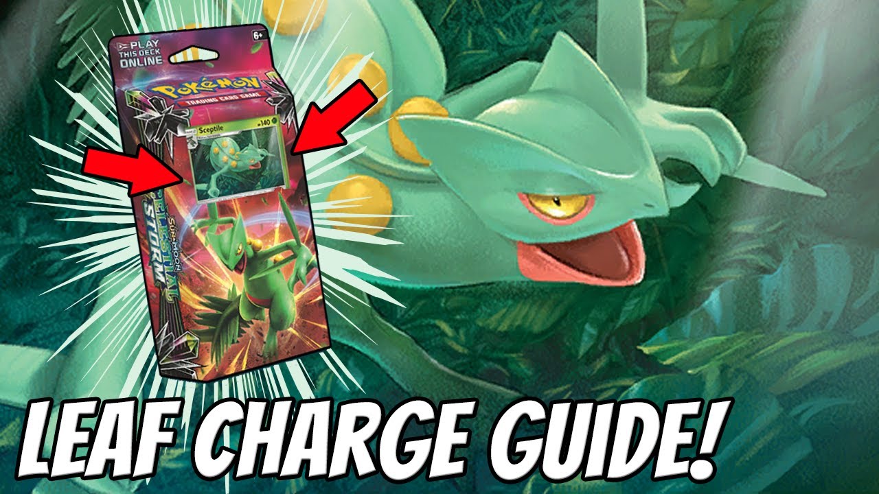 Leaf Charge Theme Deck Is Deceptively Strong!
