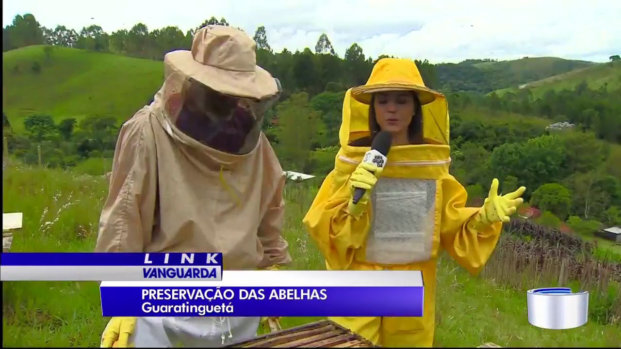 Casal de apicultores fazem doa&ccedil;&atilde;o de abelhas capturadas.