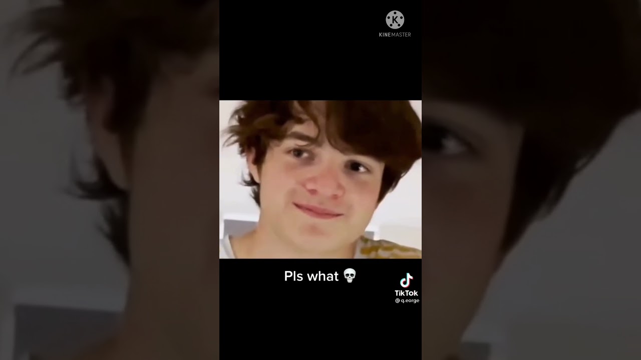 MCYT Tiktok Compilations || MCYT Tiktok #37