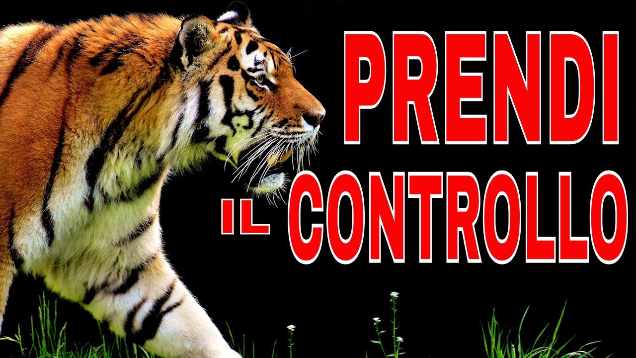 Prendi il CONTROLLO o sarai CONTROLLATO. Nuovi VIDEO MOTIVAZIONALI 2020. ISPIRAZIONE #DETERMINAZIONE