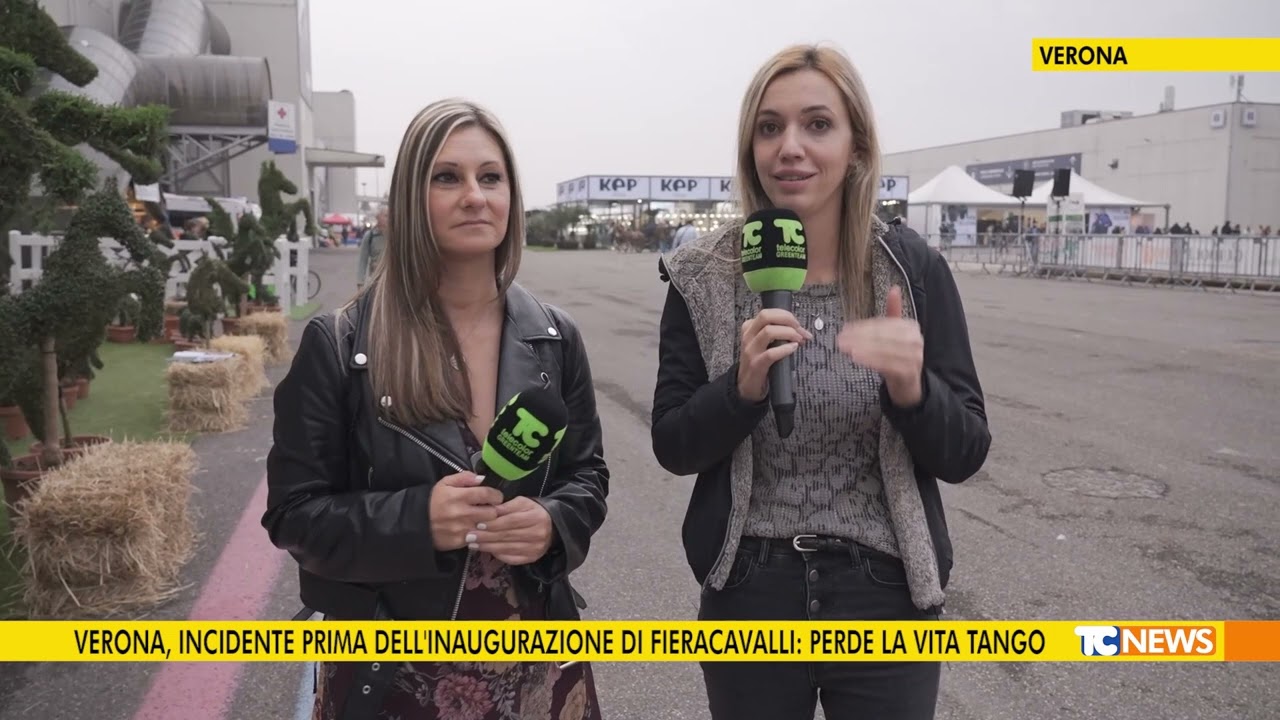 Verona, incidente prima dell'inaugurazione di Fieracavalli: perde la vita Tango