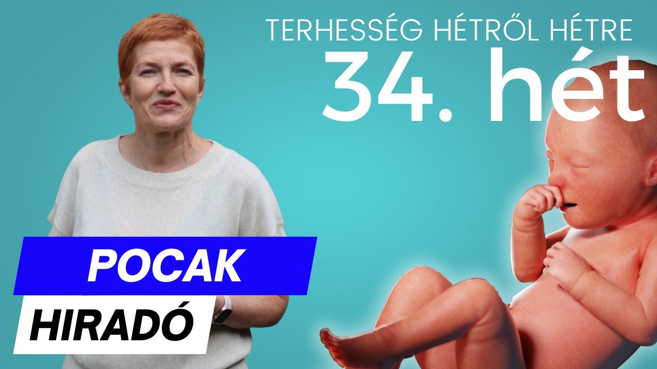 Terhesség 34. hete ∣ Terhesség hétről hétre