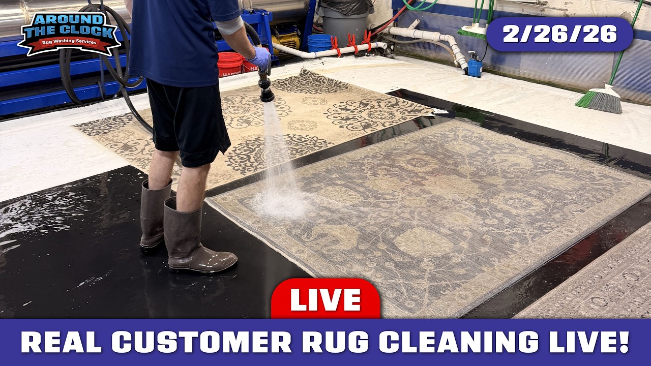 LIVE Rug Washing! #rugwashing #cleanwithme