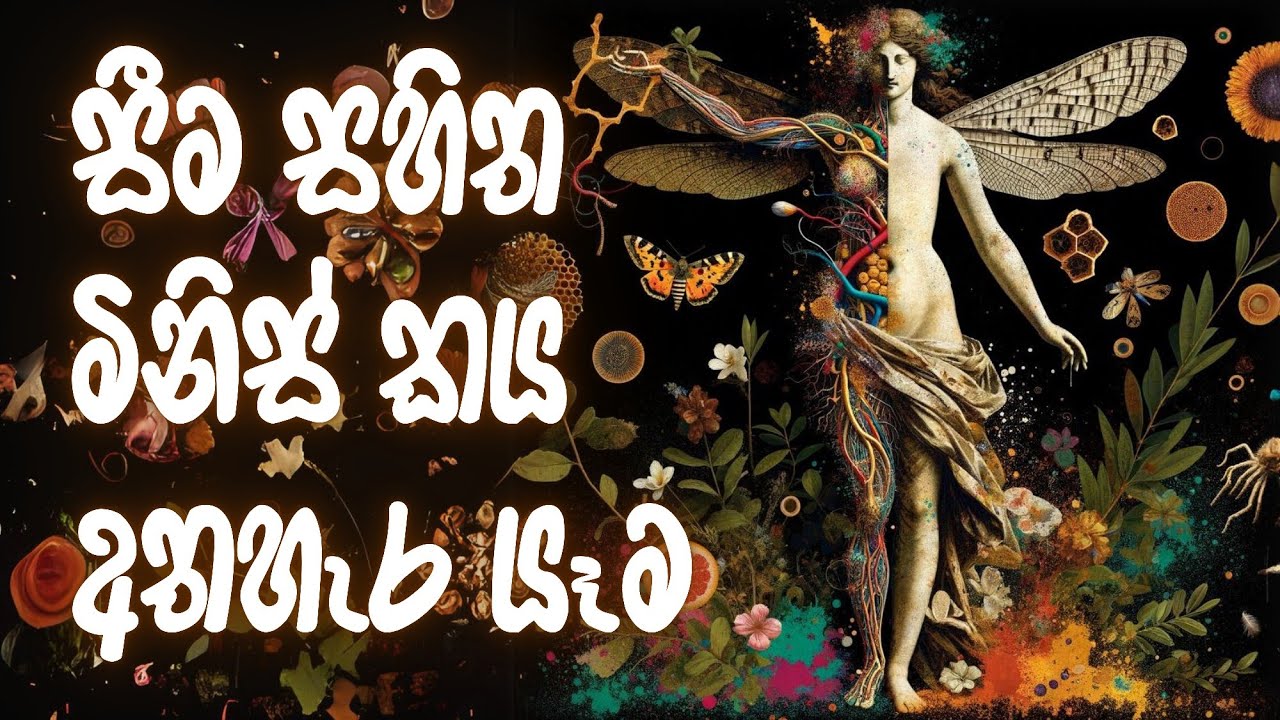 මනුස්ස රූප රාමුවෙන් ඉවත්වීම #නිවන්_මග_සිහියෙන්