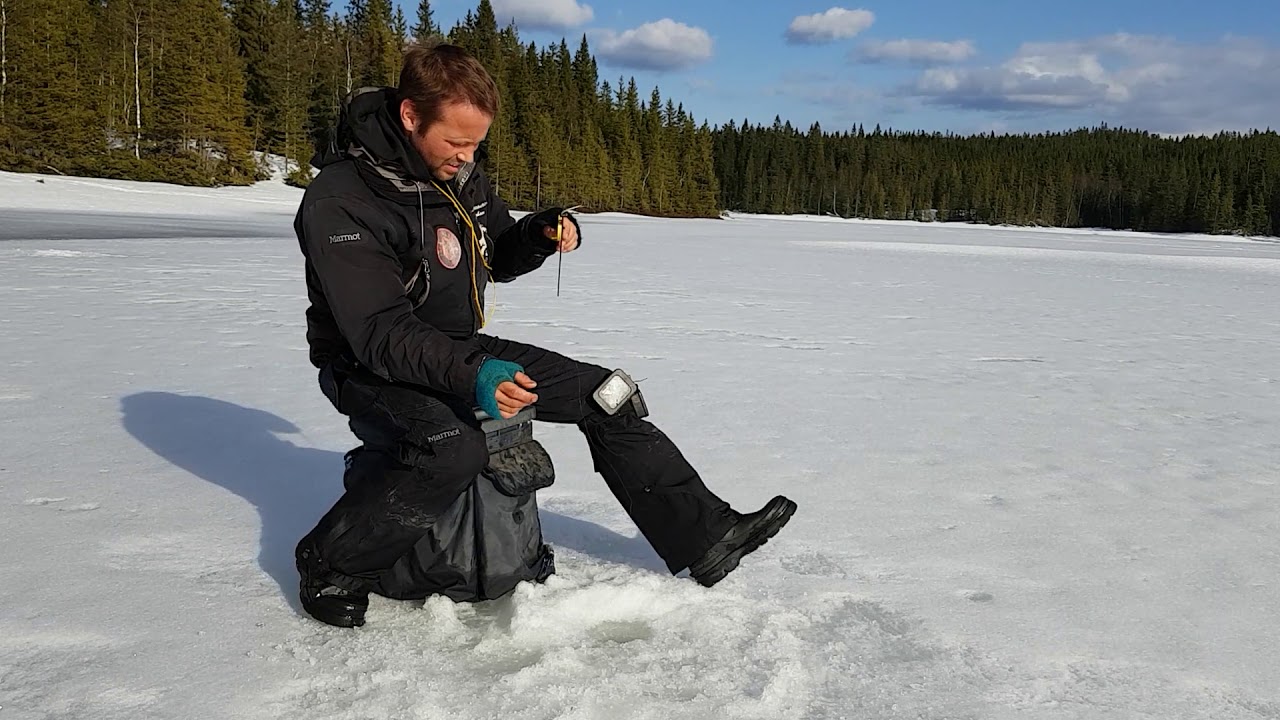 Perch ice Fishing on KrokVann and KrokVannskilen, Siljan Telemark