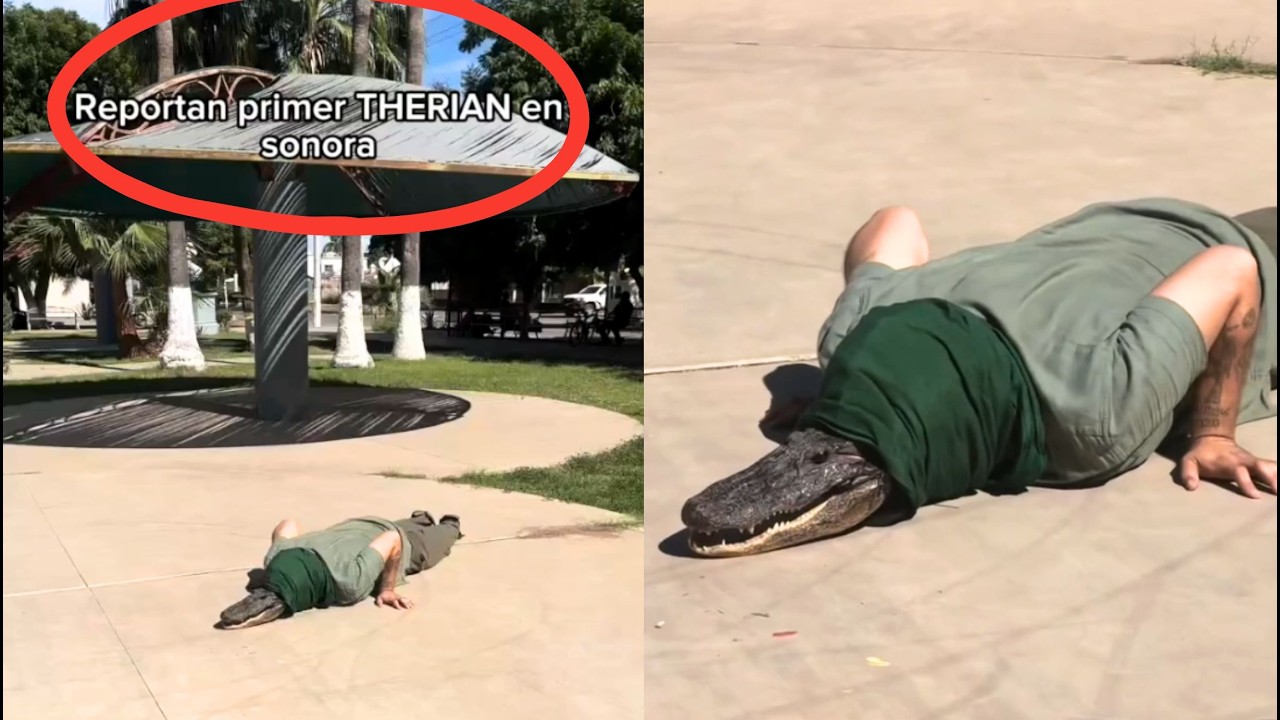 THE FIRST THERIAN APPEARS IN MEXICO