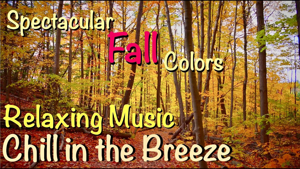 Spectacular Fall views near Toronto - Milton, GTA, ON, Canada - Oct 15, 2022