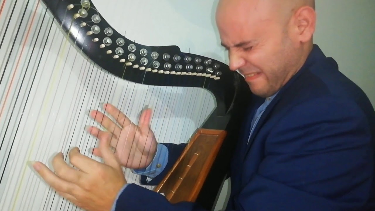 Pajarillo Guate