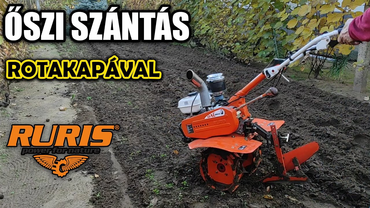 Őszi szántás, kétkerekű kistraktorral. Ruris Dac 7000🤞😀