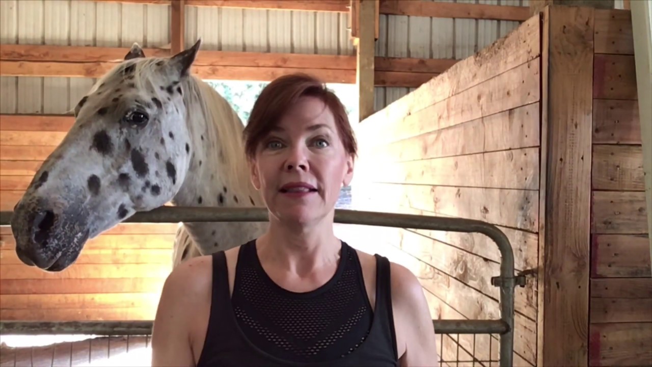 Watch FREE Horse Training Videos - Learn Holistic Horse Training FREE