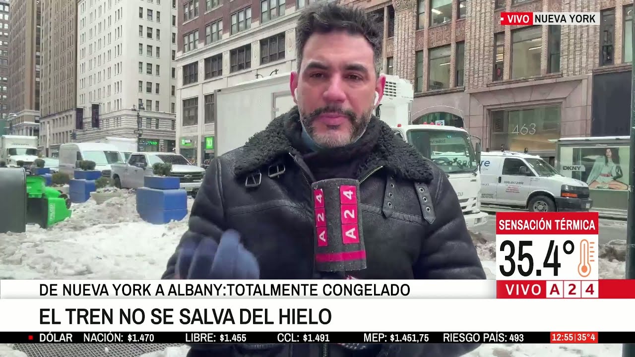 DÍA DE LA MARMOTA EN EE.UU.  +  LLUVIA DE IGUANAS CONGELADAS POR LA OLA DE FRÍO EN MIAMI