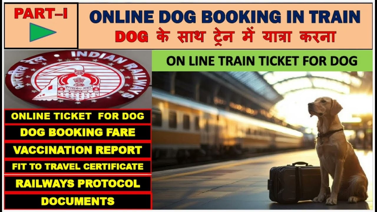 online dog booking|How to carry your pet in train|How to travel with a dog|डॉग को ट्रेनसे कैसे लेजाए