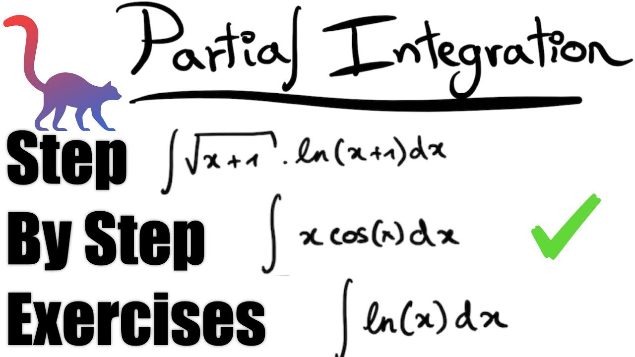 Integration By Parts - Exercises (Step-by-step)