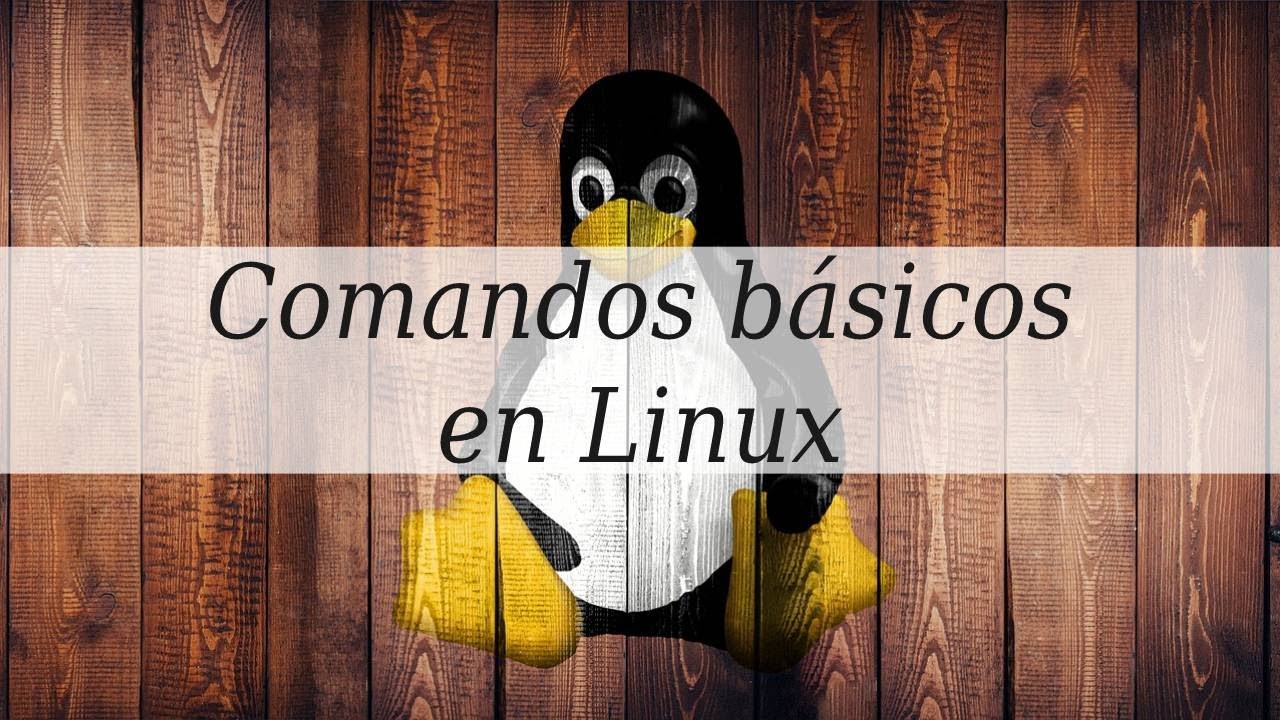 Comandos básicos en Linux | Práctico | 2022