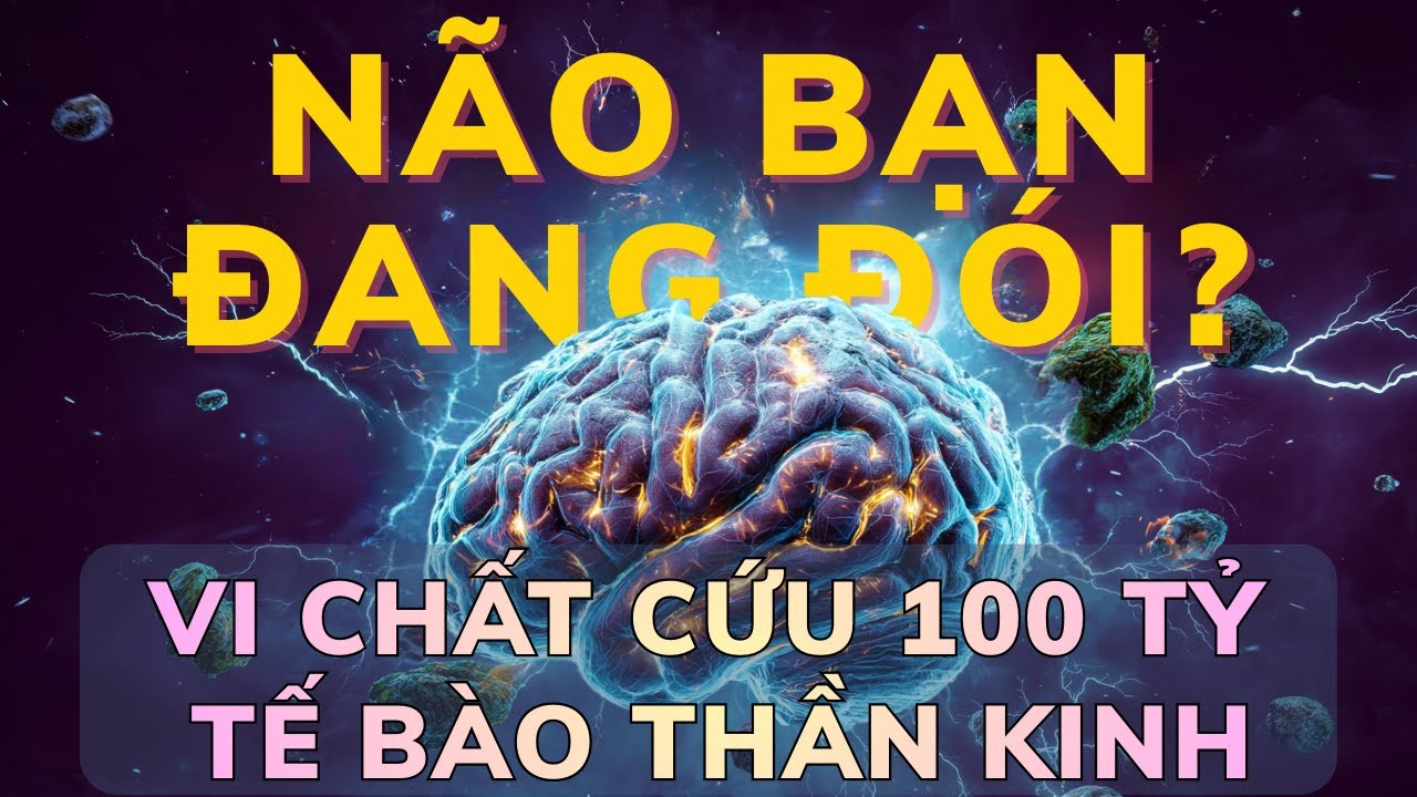 Đừng Để Teo Não Vì Thiếu Vi Chất: Giải Mã Choline, Magie & Vitamin B (Theo The Lancet)