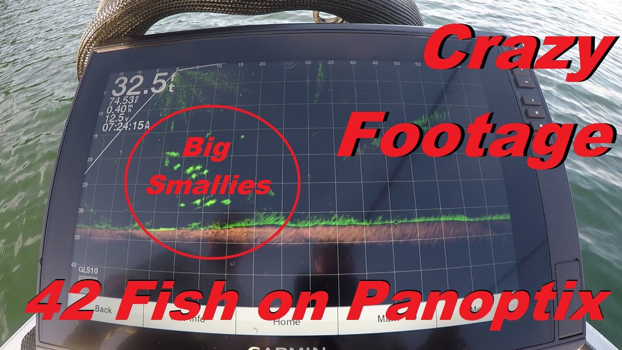 Bass Fishing with Garmin Panoptix: Lake James Fishing Guide- Crazy Day!