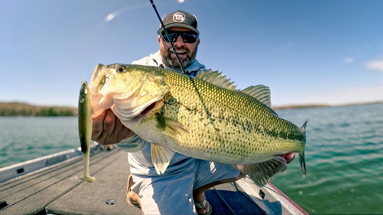 Early Summer Bass Fishing Tricks! (Incredible Swimbait Fishing!)