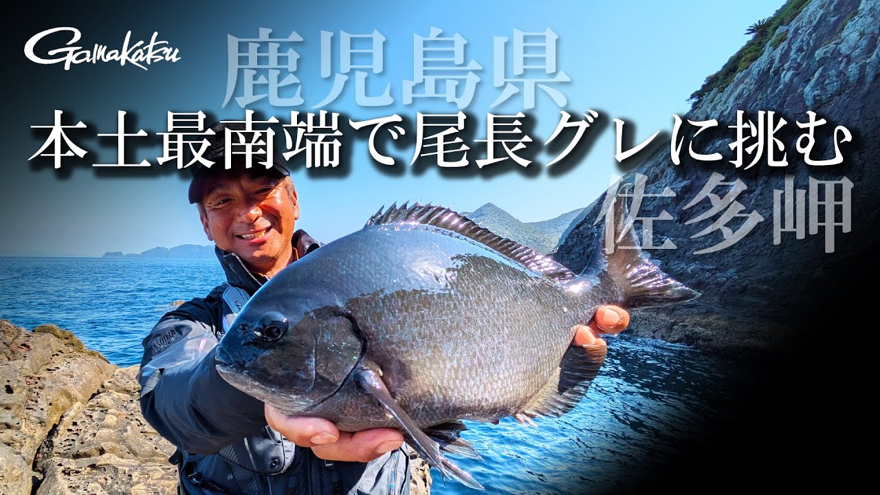 鹿児島県佐多岬で巨大尾長グレに挑む！【G WORLD #55】