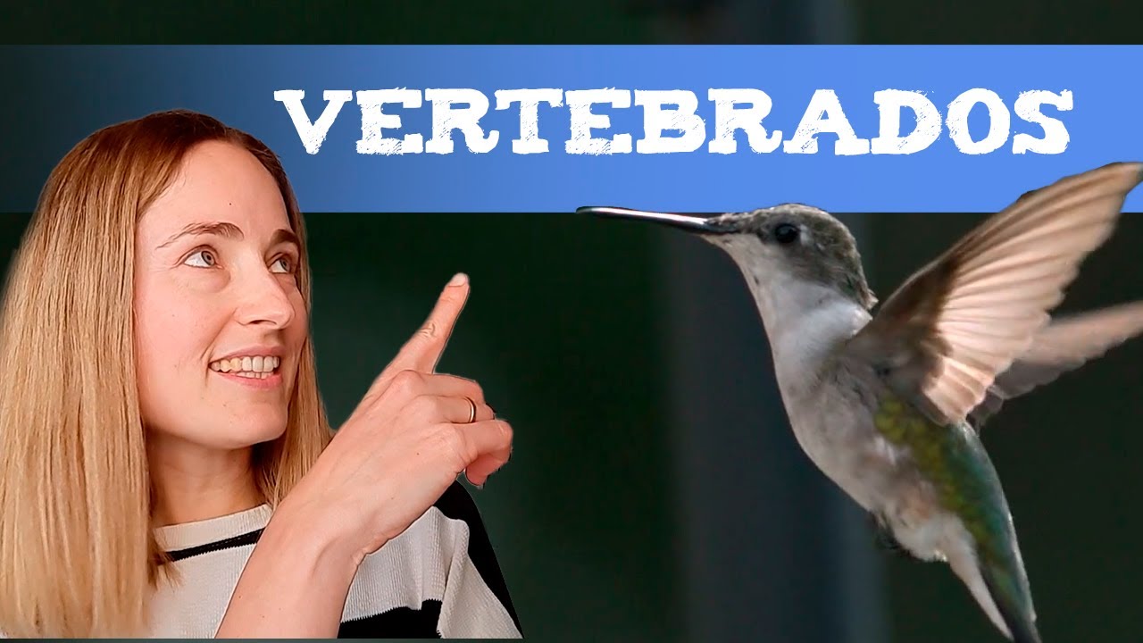 Animales VERTEBRADOS para NIÑOS (Clasificación y EJEMPLOS)