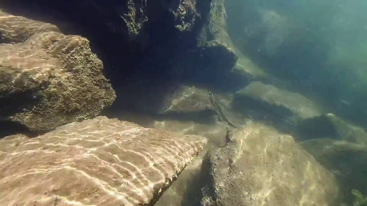 Loch Raven Reservoir Underwater