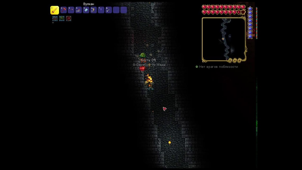 Live - stream Terraria