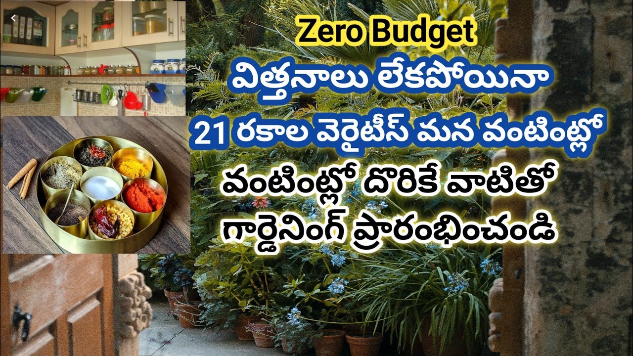 Garden Beginners Special 2021| Vegetables and Herbs You Can Grow From Your Kitchen | Don't By Seeds