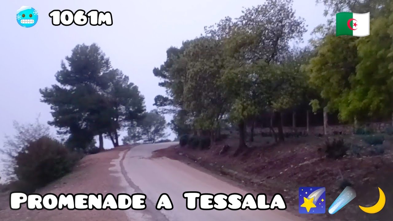 Sidi Bel Abbès Promenade a Tessala  à 1061m
