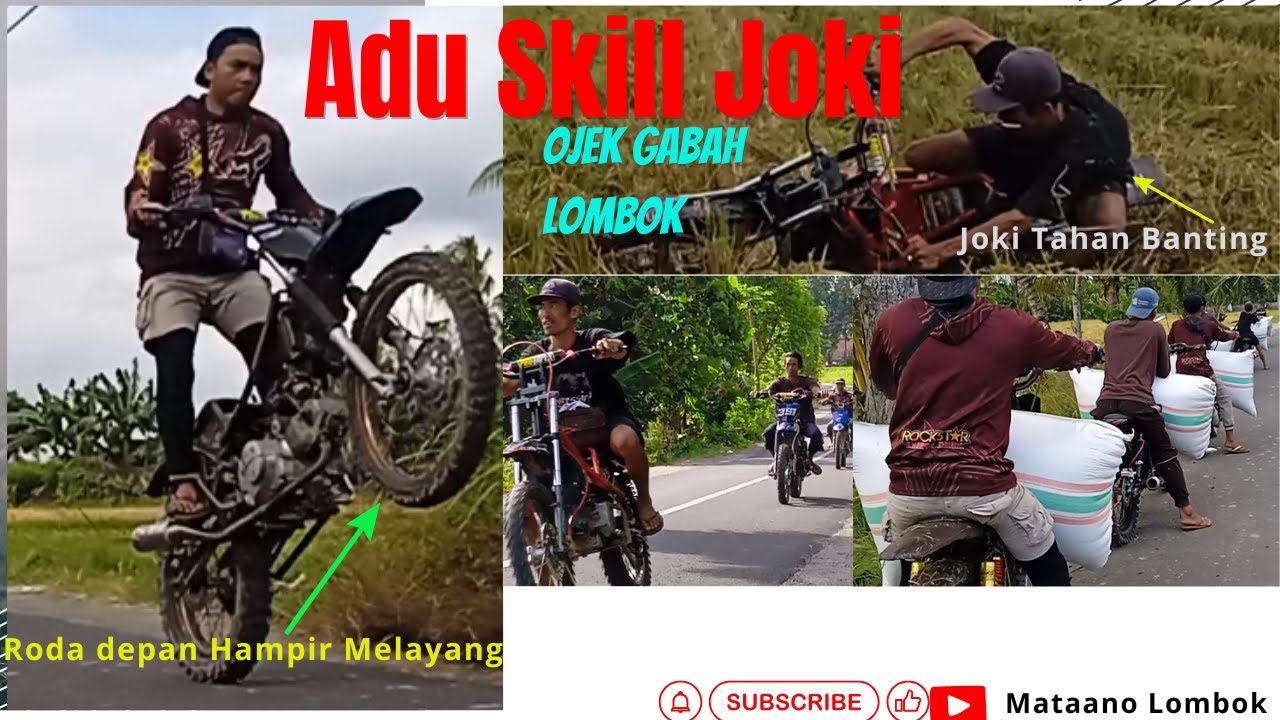 Transportasi Gabah di Lombok: Antara Tradisi dan Inovasi