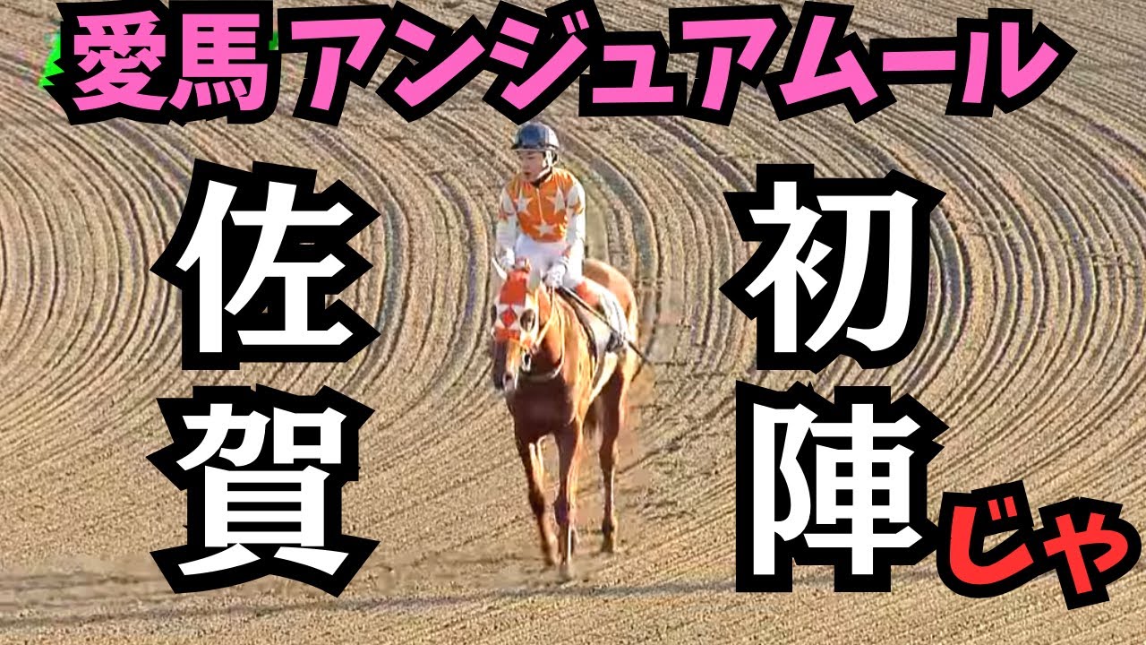 【馬主】愛馬アンジュアムール佐賀競馬場初戦の結果は⁉︎NAR最優秀新人騎手賞 山田義貴騎手の手腕に期待!!