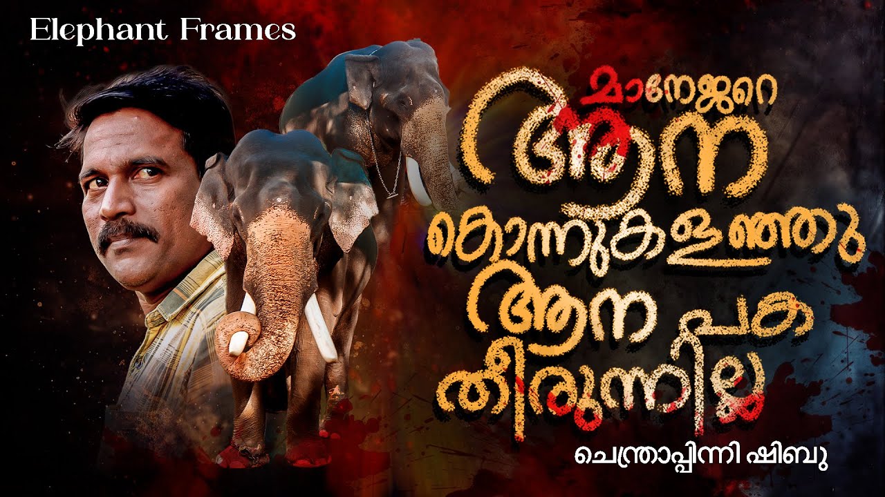 The revenge of the killer elephant named Skandan /elephant frames/chendrappinn shibu