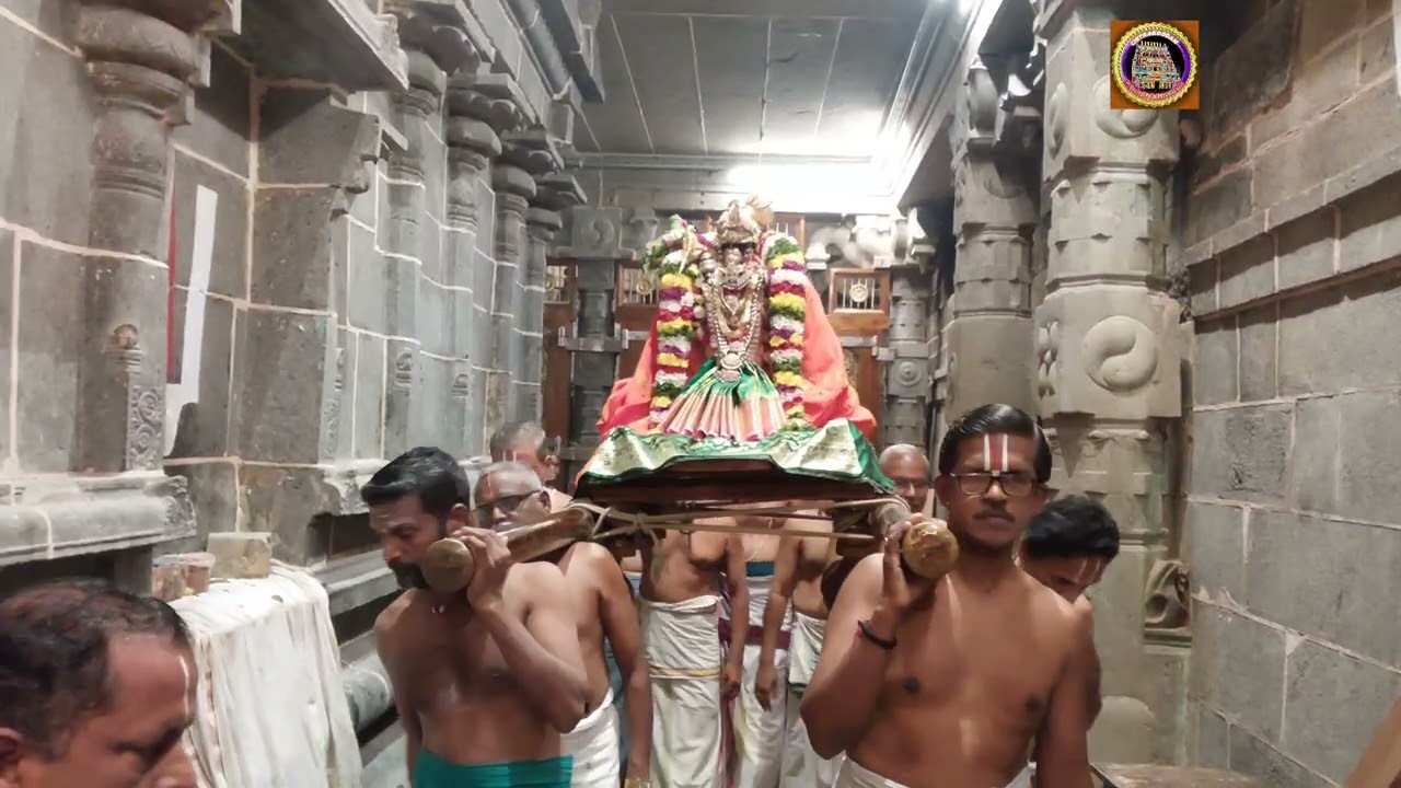 11.01.2026 ஸ்ரீ கோவிந்தராஜ பெருமாள் கோவில் கூடாரவல்லி உற்சவம் ஸ்ரீ ஆண்டாள் பிரகாரப் புறப்பாடு