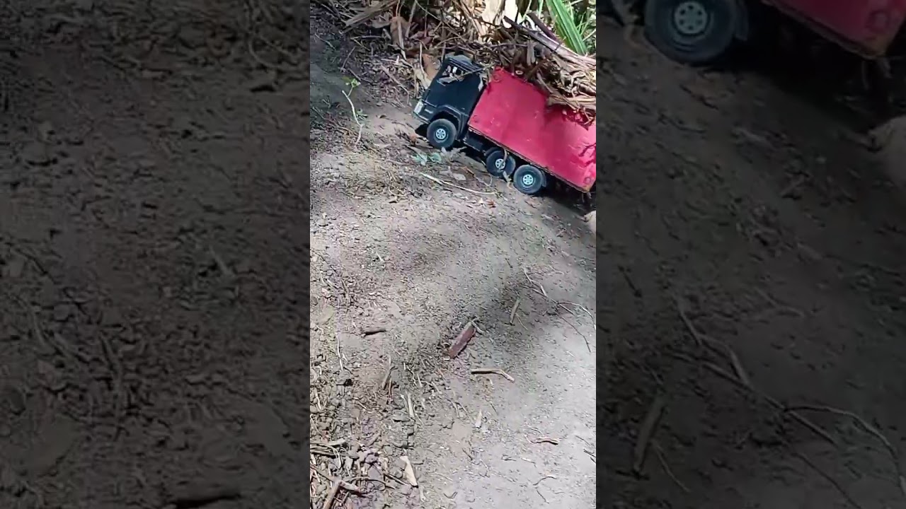fazenda Matão usina porto rico