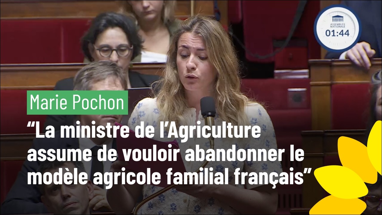 Marie Pochon 