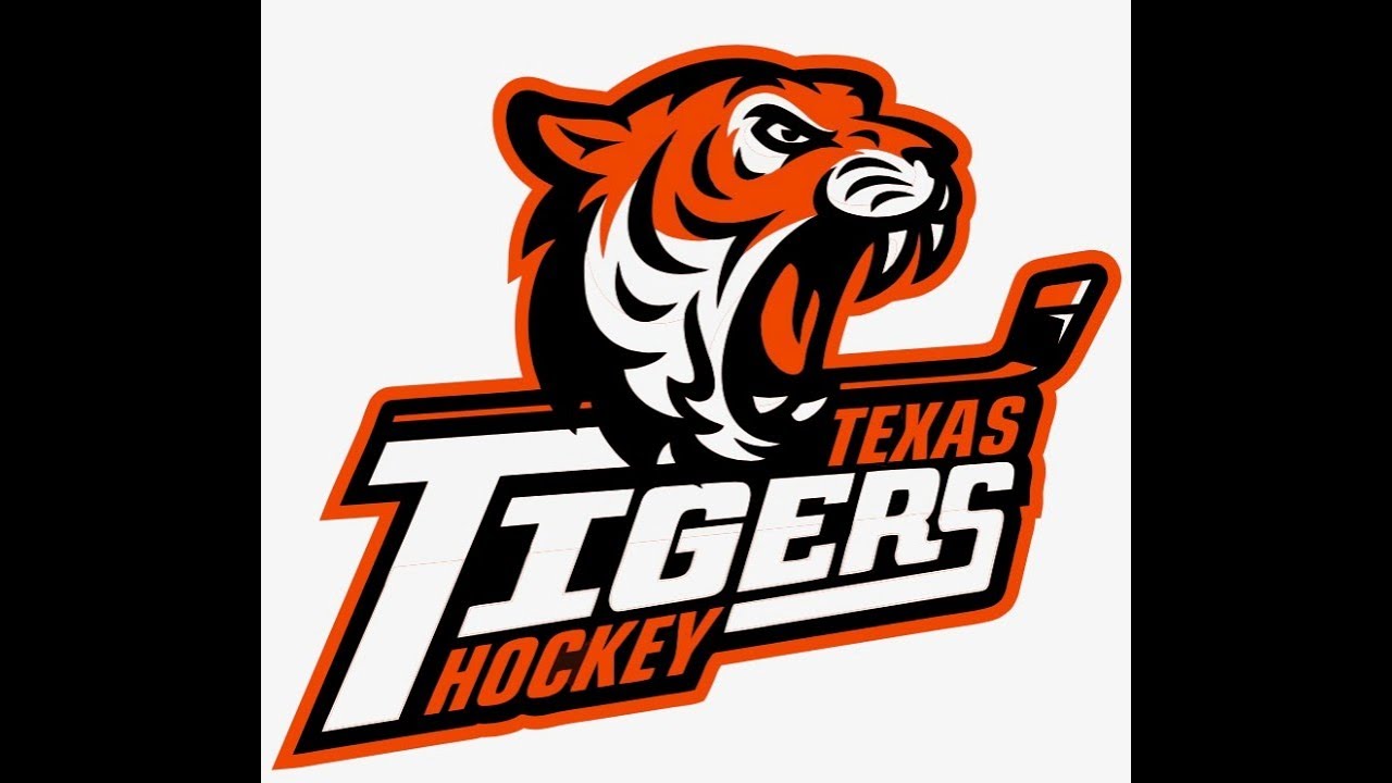 Tigers 16u AA vs Golden Bears - 12/12/2025