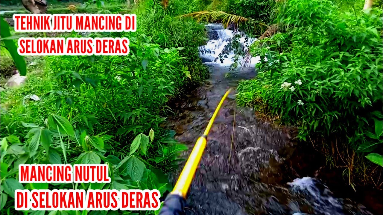 Mancing Di Selokan Kecil Arus Deras Tehnik Nutul Di Temani Bocil Mancing Belut