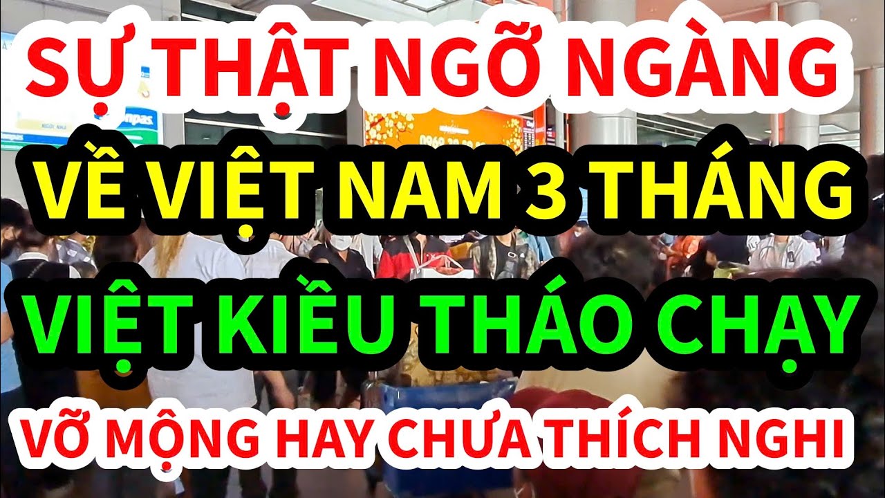 SỰ THẬT NGỠ NGÀNG: VIỆT KIỀU HỐI HẬN KHI VỀ VN ĐỊNH CƯ SAU 3 THÁNG - VỠ MỘNG HAY CHƯA THÍCH NGHI?
