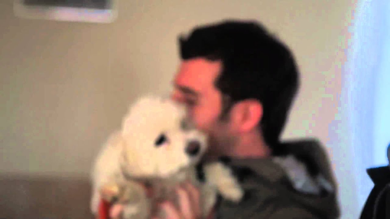 The Cataracs - Synthesizer (Official Music Video)